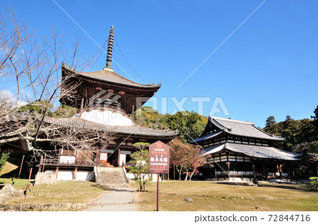 Negoroji Temple (left), Daidenhodo (right) Negoroji Temple (left), Daidenhodo (right) 72844716