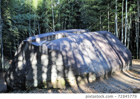 奈良縣增田岩船市 72845779