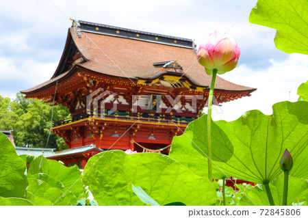 伊賀八man宮的藏書<愛知縣岡崎市> 伊賀八man宮的藏書<愛知縣岡崎市> 72845806