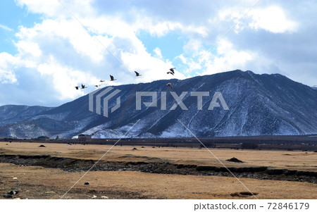 flying geese across the hill in the western china nobody with mountain range vast flying geese across the hill in the western china nobody with mountain range vast 72846179