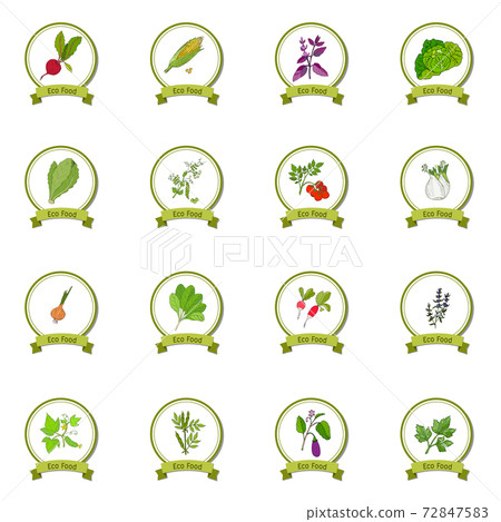 Eco foods set Eco foods set 72847583