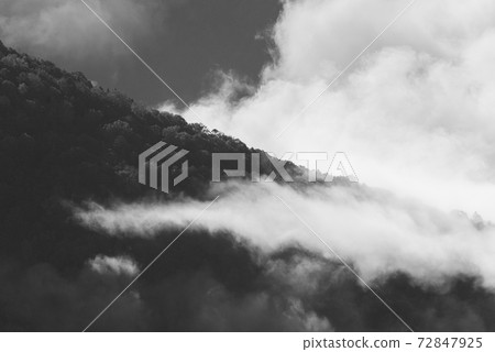 晨霧包圍的森林 72847925