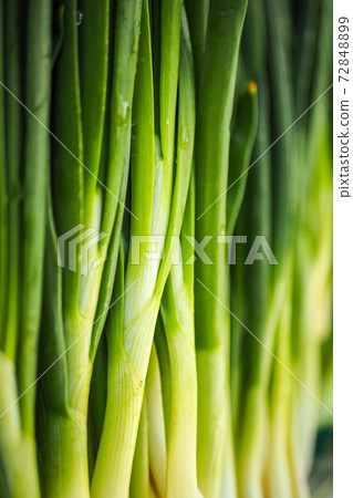 Fresh green spring onions on the farmers market. Selective focus Fresh green spring onions on the farmers market. Selective focus 72848899