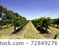 Australian winery 72849276