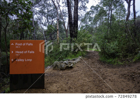 澳大利亞 澳洲 澳大利亞人 72849278