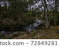 Australian national park 72849281
