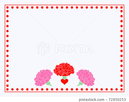  Carnation on Mother's Day 72850253