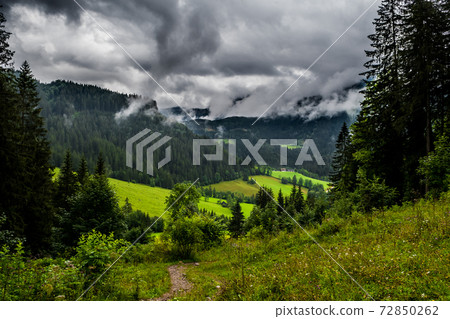 Hiking Trail In National Park Gesaeuse in The Ennstaler Alps In Austria Hiking Trail In National Park Gesaeuse in The Ennstaler Alps In Austria 72850262