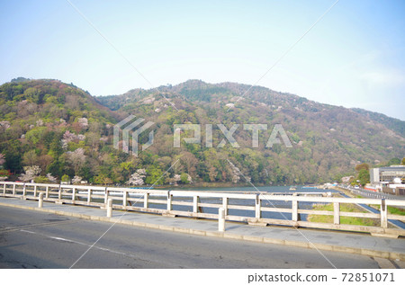 渡月橋/春天 72851071