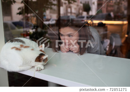 girl and the cat in cafe girl and the cat in cafe 72851271