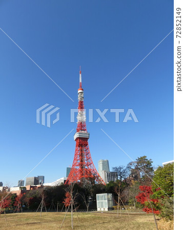 從秋芝公園看的東京鐵塔 從秋芝公園看的東京鐵塔 72852149