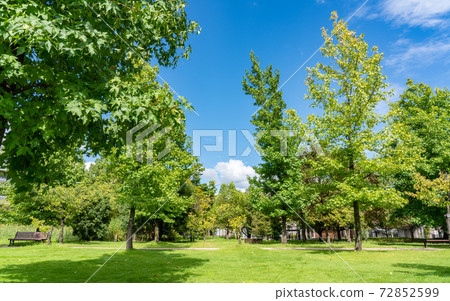 Aichi / Noritake Garden 72852599