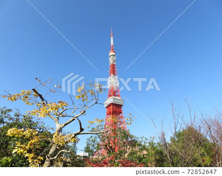 Tokyo Tower seen from Shiba Park in autumn Tokyo Tower seen from Shiba Park in autumn 72852647