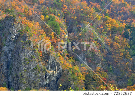 Rocky mountain of autumn leaves Rocky mountain of autumn leaves 72852687