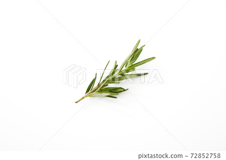 Fresh rosemary on white Fresh rosemary on white 72852758