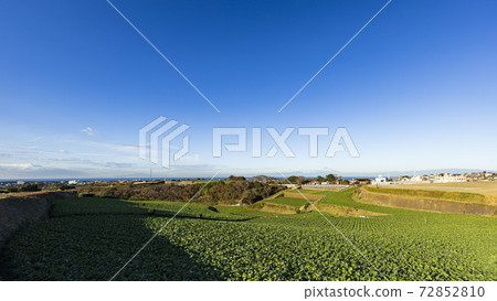 Winter of the earth in Miura City, Kanagawa Prefecture, on the Shonan Miura Peninsula Winter of the earth in Miura City, Kanagawa Prefecture, on the Shonan Miura Peninsula 72852810