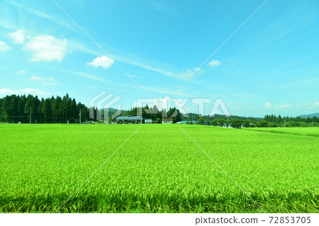 從會津川口站到會津站的忠見線列車窗口的風景 72853705