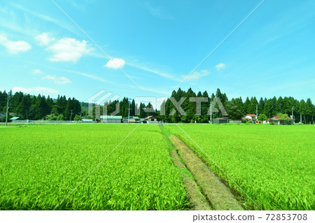 Scenery from the Tadami Line train window from Aizu-Kawaguchi Station to Aizu Station Scenery from the Tadami Line train window from Aizu-Kawaguchi Station to Aizu Station 72853708