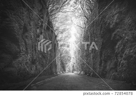 Mirador Pico del Ingles path in Anaga rural park, monochrome 72854078