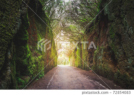 Mirador Pico del Ingles path in Anaga rural park 72854083