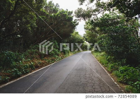 forest road in Anaga rural park, Tenerife 72854089