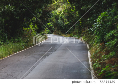 forest road in Anaga rural park, Tenerife 72854389