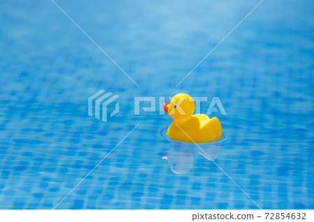 yellow rubber duck in blue swimming pool yellow rubber duck in blue swimming pool 72854632
