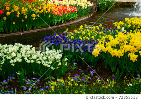 fresh lawn with flowers 72855518