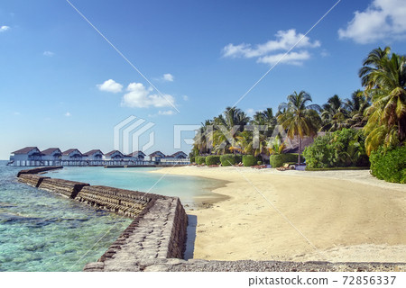 The white sandy beach, Maldives 72856337