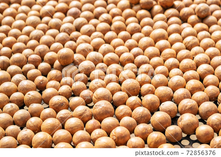 Macadamia nuts dried by sunlight on a tray. Macadamia nuts dried by sunlight on a tray. 72856376