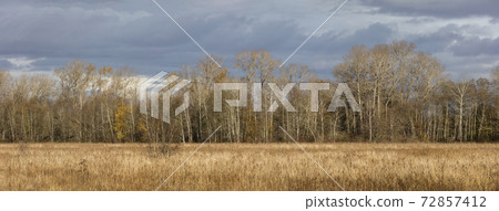 nature wetland landscape nature wetland landscape 72857412