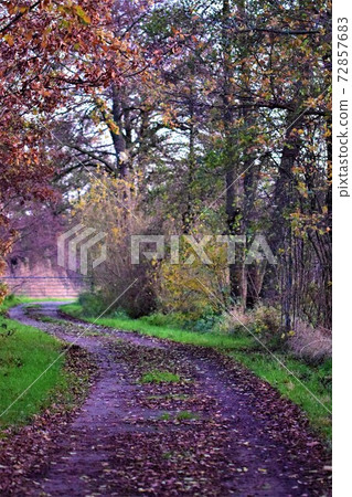 Pasture gate blocks at the end of a small concrete road Pasture gate blocks at the end of a small concrete road 72857683