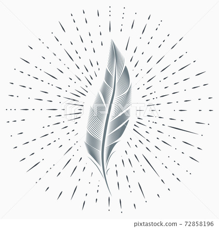 Vintage illustration with sun rays and feather. Vintage illustration with sun rays and feather. 72858196
