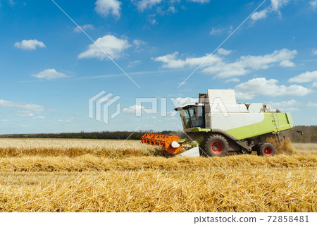 Combine harvester harvests ripe wheat. Concept of a rich harvest. Agriculture image Combine harvester harvests ripe wheat. Concept of a rich harvest. Agriculture image 72858481