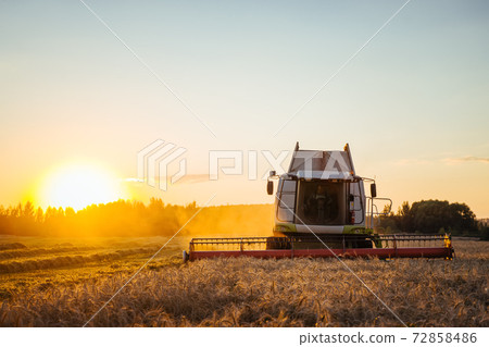 Combine harvester harvests ripe wheat. Concept of a rich harvest. Agriculture image Combine harvester harvests ripe wheat. Concept of a rich harvest. Agriculture image 72858486