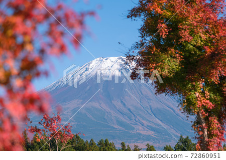 [Mt. Fuji and autumn leaves from Road Station Asagiri Kogen] 72860951