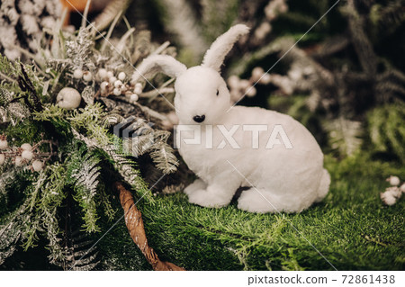 picture of nice little rabbit near a tree with a picture of nice little rabbit near a tree with a 72861438
