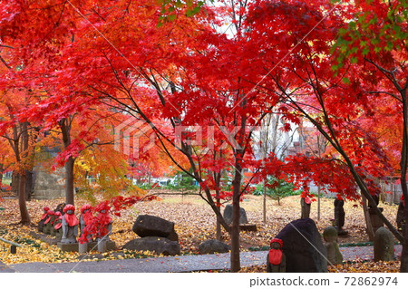 Ku信寺的鮮紅楓葉和鮮紅唾液地藏 72862974