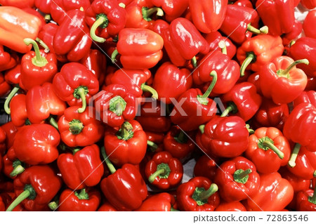 Paprika --Paprika Paprika --Paprika 72863546