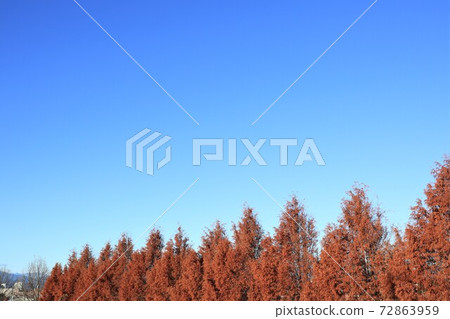 深秋的風景 深秋的風景 72863959