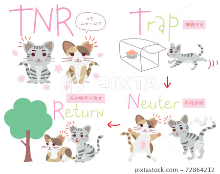 Set of illustrations of regional cat TNR 72864212