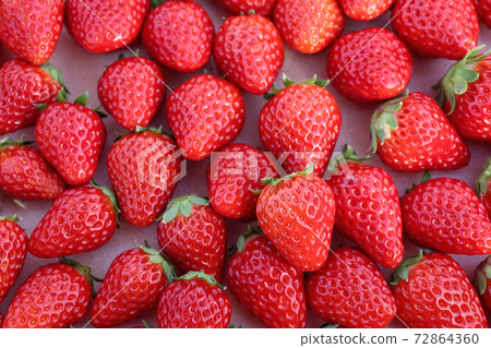 Freshly picked strawberries spread out (December, red cheeks) 72864360