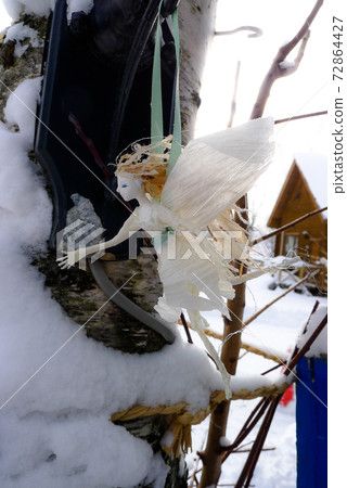 這是雪花仙子。這是北方國家山麓地區的冬季信。 這是雪花仙子。這是北方國家山麓地區的冬季信。 72864427