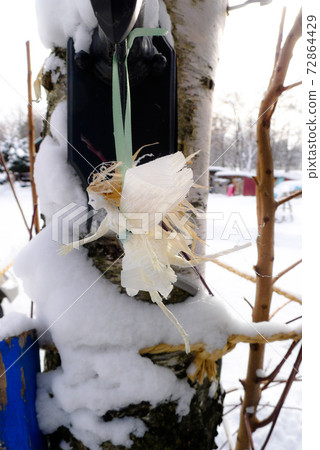 這是雪花仙子。這是北方國家山麓地區的冬季信。 72864429