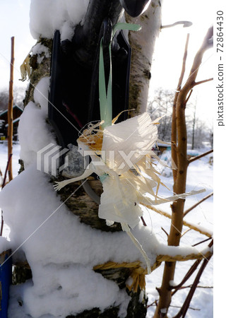 這是雪花仙子。這是北方國家山麓地區的冬季信。 72864430