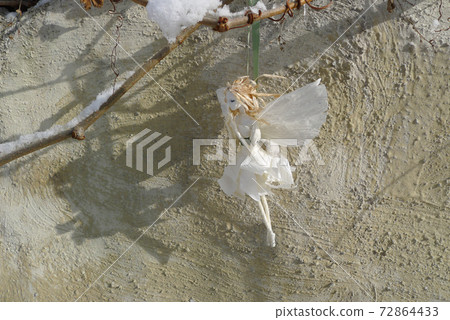 這是雪花仙子。這是北方國家山麓地區的冬季信。 這是雪花仙子。這是北方國家山麓地區的冬季信。 72864433