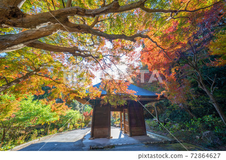 富門寺秋葉 72864627