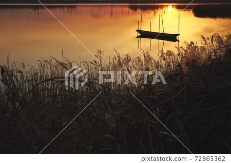 Evening view of a small boat floating in a swamp 72865362