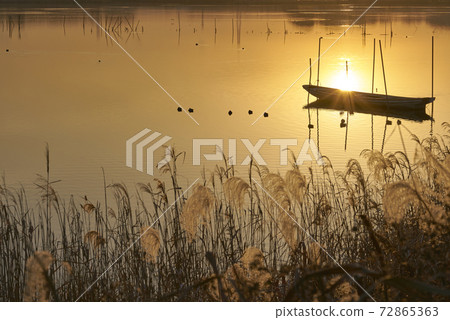 Evening view of a small boat floating in a swamp 72865363