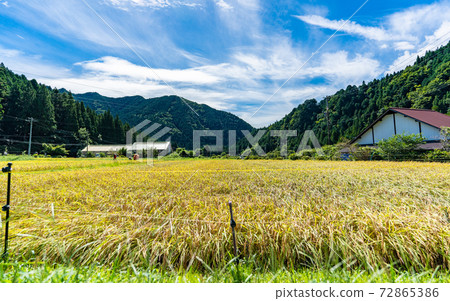 在岐阜和莫奈的池塘中漫步 在岐阜和莫奈的池塘中漫步 72865386